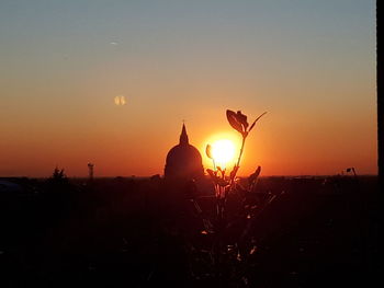 Silhouette plants on field against sky during sunset