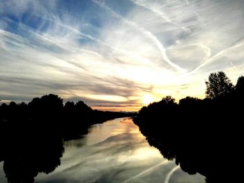 Silhouette of trees at sunset