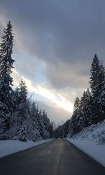 Road amidst trees against sky