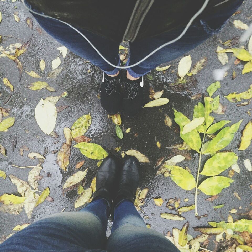 low section, person, personal perspective, shoe, high angle view, lifestyles, leisure activity, water, leaf, men, unrecognizable person, standing, human foot, reflection, footwear, nature, part of