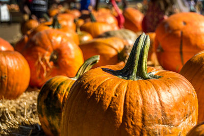 Close-up of pumpkins for sale at market stall