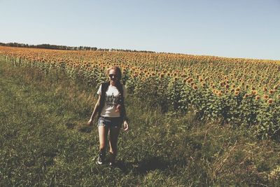 field
