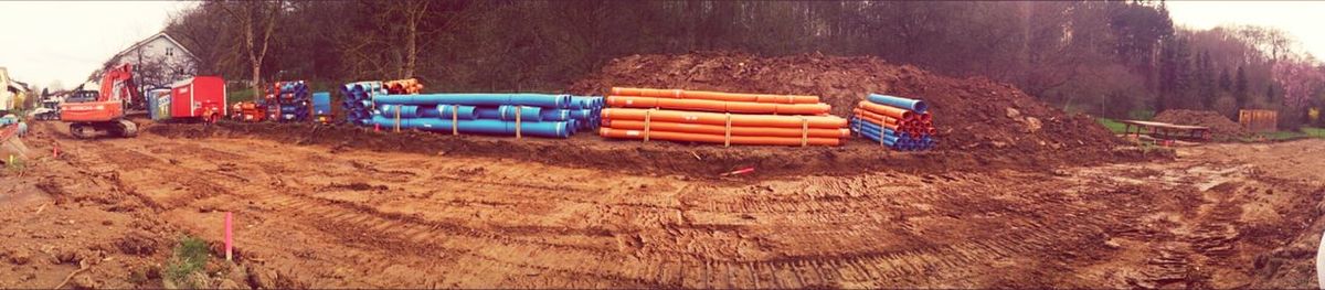 Trees on field against sky