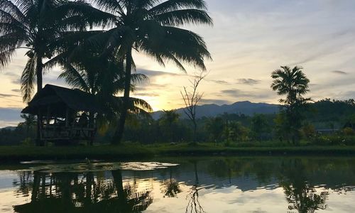 Silhouette palm trees by lake against sky at sunset