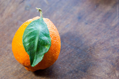 Close-up of orange slice on table