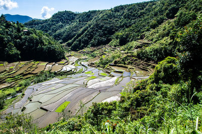 Scenic view of green landscape against sky