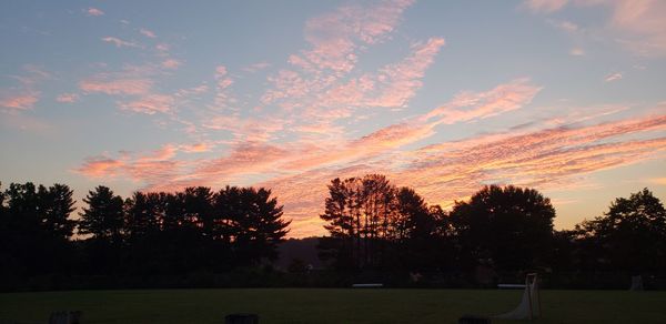 Silhouette trees on field against sky during sunset