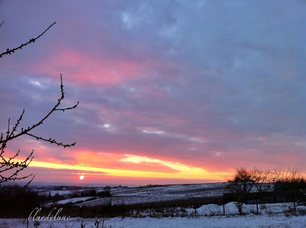 snow, winter, cold temperature, sunset, season, weather, tranquil scene, tranquility, sky, beauty in nature, scenics, landscape, covering, orange color, field, nature, bare tree, cloud - sky, frozen, idyllic