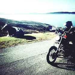 Man cycling by sea against sky