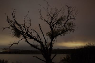 Silhouette bare tree by lake against sky at sunset