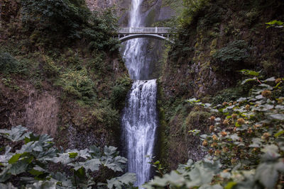 High angle view of waterfall in forest