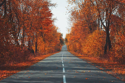 Empty road along trees during autumn