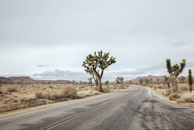 Road amidst landscape against sky