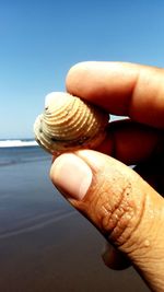 Close-up of hand holding shell at beach against sky