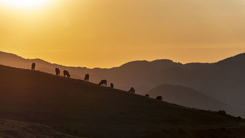 Silhouette people on land against sky during sunset