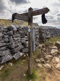 View of an animal on wood against sky