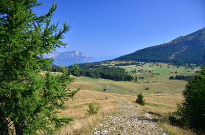 Scenic view of landscape against clear blue sky