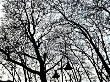 Low angle view of bare tree against sky