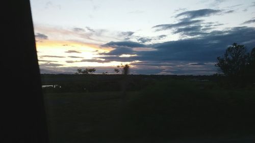 Silhouette trees on field against sky during sunset