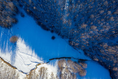 Aerial view of trees on snow covered land during winter