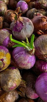 Close-up of purple for sale in market