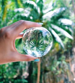 Cropped hand of woman holding crystal ball against trees