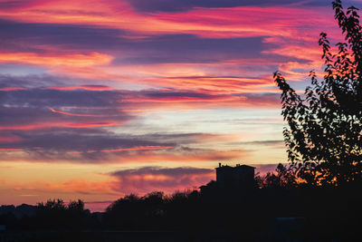 Low angle view of silhouette trees against orange sky