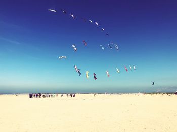 Flock of birds flying over beach