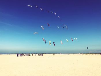 Many kites on the beach 