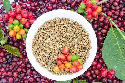 High angle view of fruits in container