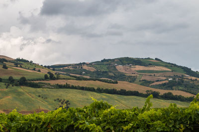 Scenic view of field against cloudy sky