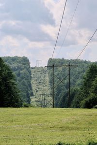 Trees on field against sky