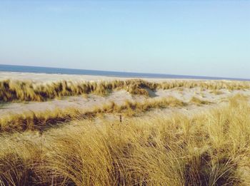 Scenic view of sea against clear sky