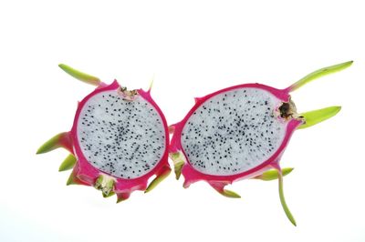 Close-up of fruit against white background