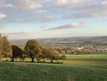 Scenic view of field against sky