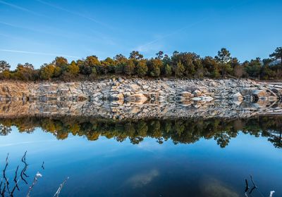 Reflection of tree in lake against blue sky