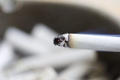 Close-up of cigarette smoking outdoors