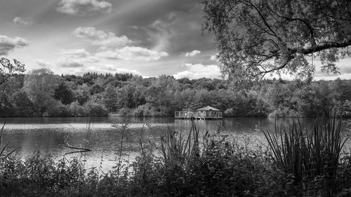 Reflection of trees in lake