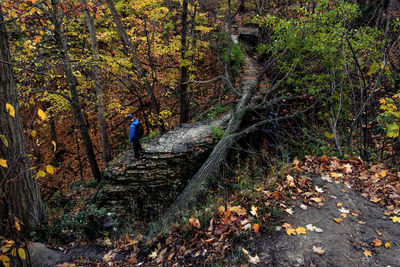 Rear view of man on leaves in forest