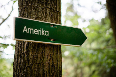 Close-up of sign on tree trunk