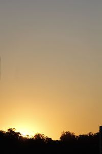 Silhouette trees against clear sky during sunset