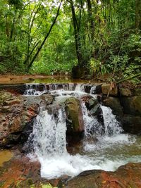 View of waterfall in forest