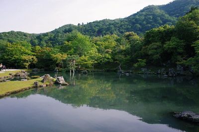 Scenic view of lake by trees against sky