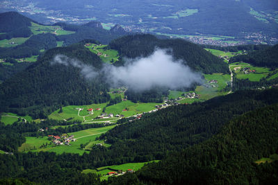 High angle view of trees on land