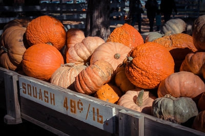 Pumpkins for sale at market