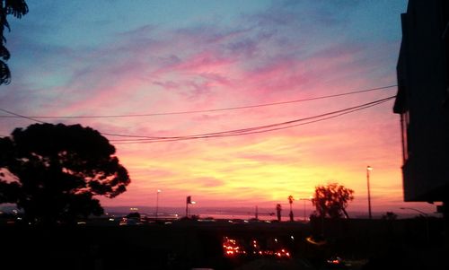 Silhouette of trees at sunset