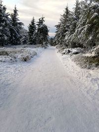 Surface level of road against sky during winter