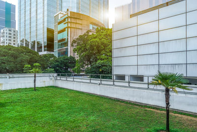 Plants growing by modern building in city against sky