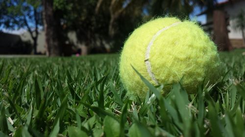 Close-up of yellow ball on grass