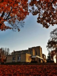 Low angle view of trees and buildings against sky